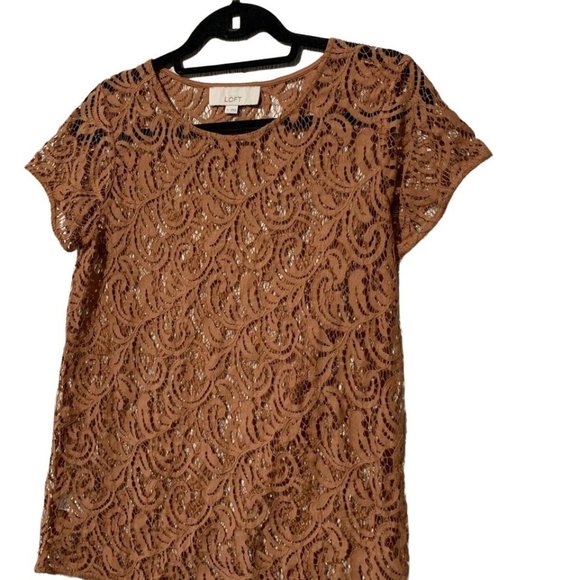 Ann Taylor Loft Burnt Orange Lace Top - Picture 4 of 5